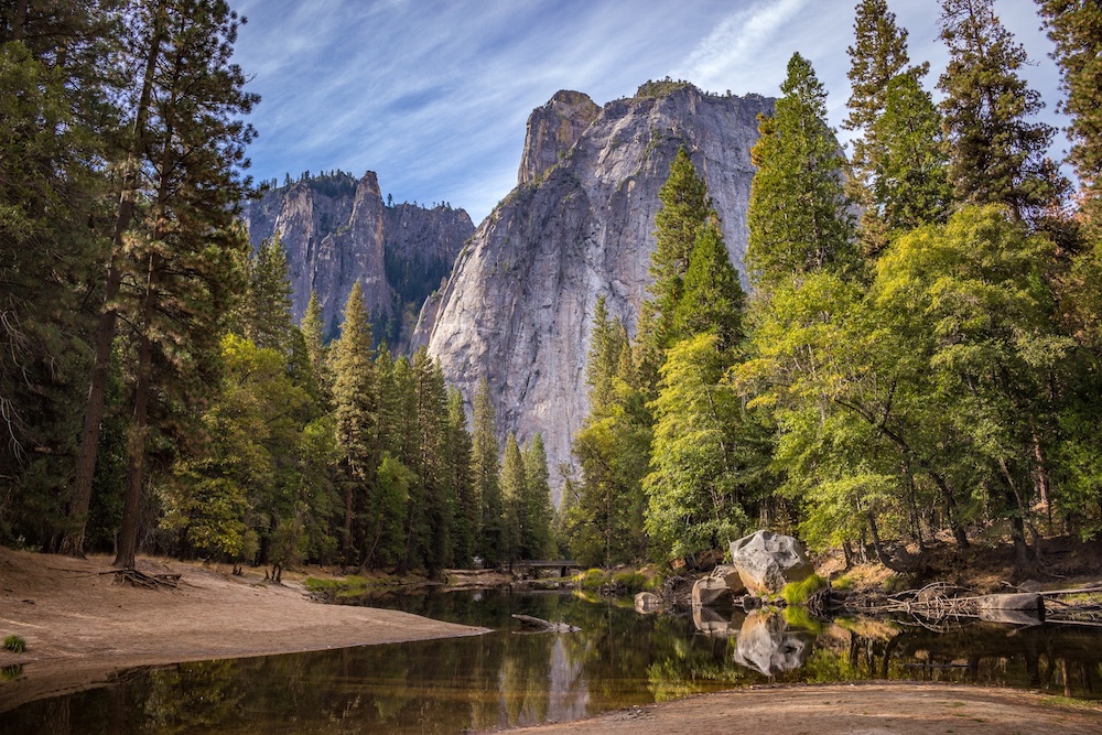 Image of forest